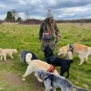 Emily from Woodland Walkers, walking Locla dog in Hatfield at Ellenbrook Fields