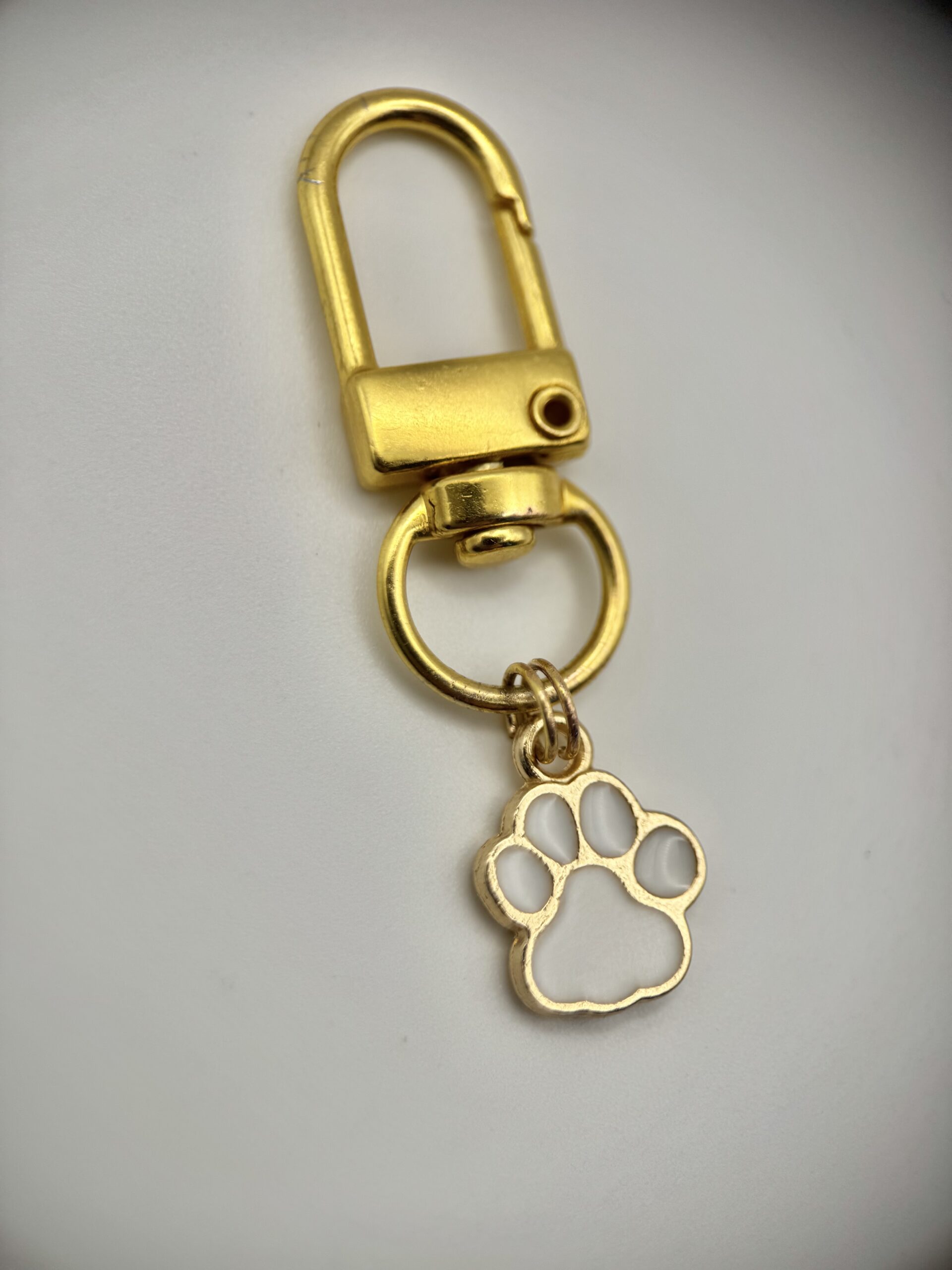 POOCH PENDANTS | Handmade Dog Collar Charm | Multicolour Paw Print (White)