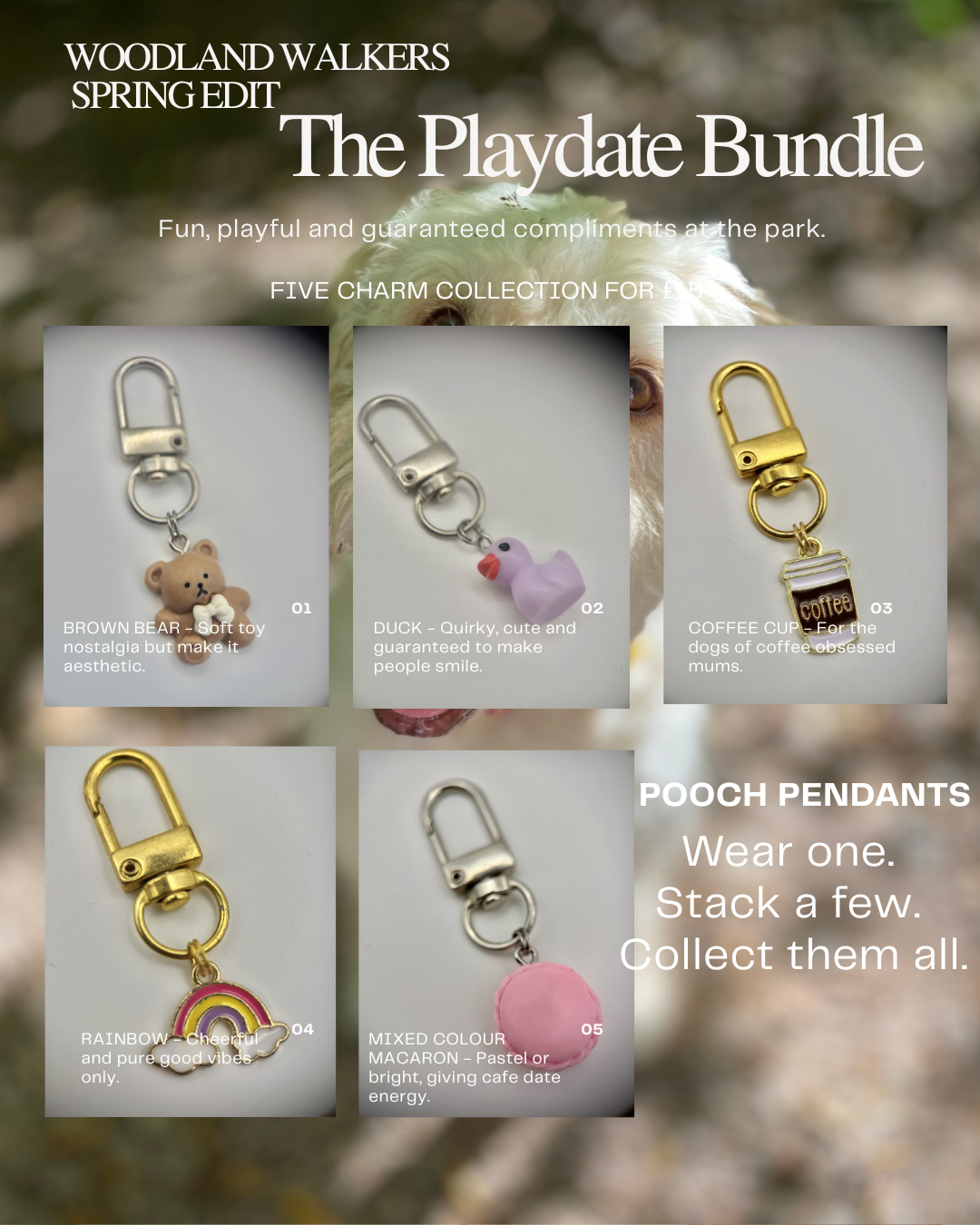 POOCH PENDANTS | Handmade Dog Collar Charm Bundle | The Play Date Bundle